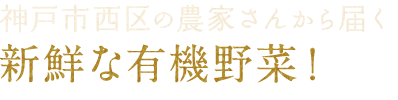  新鮮な有機野菜